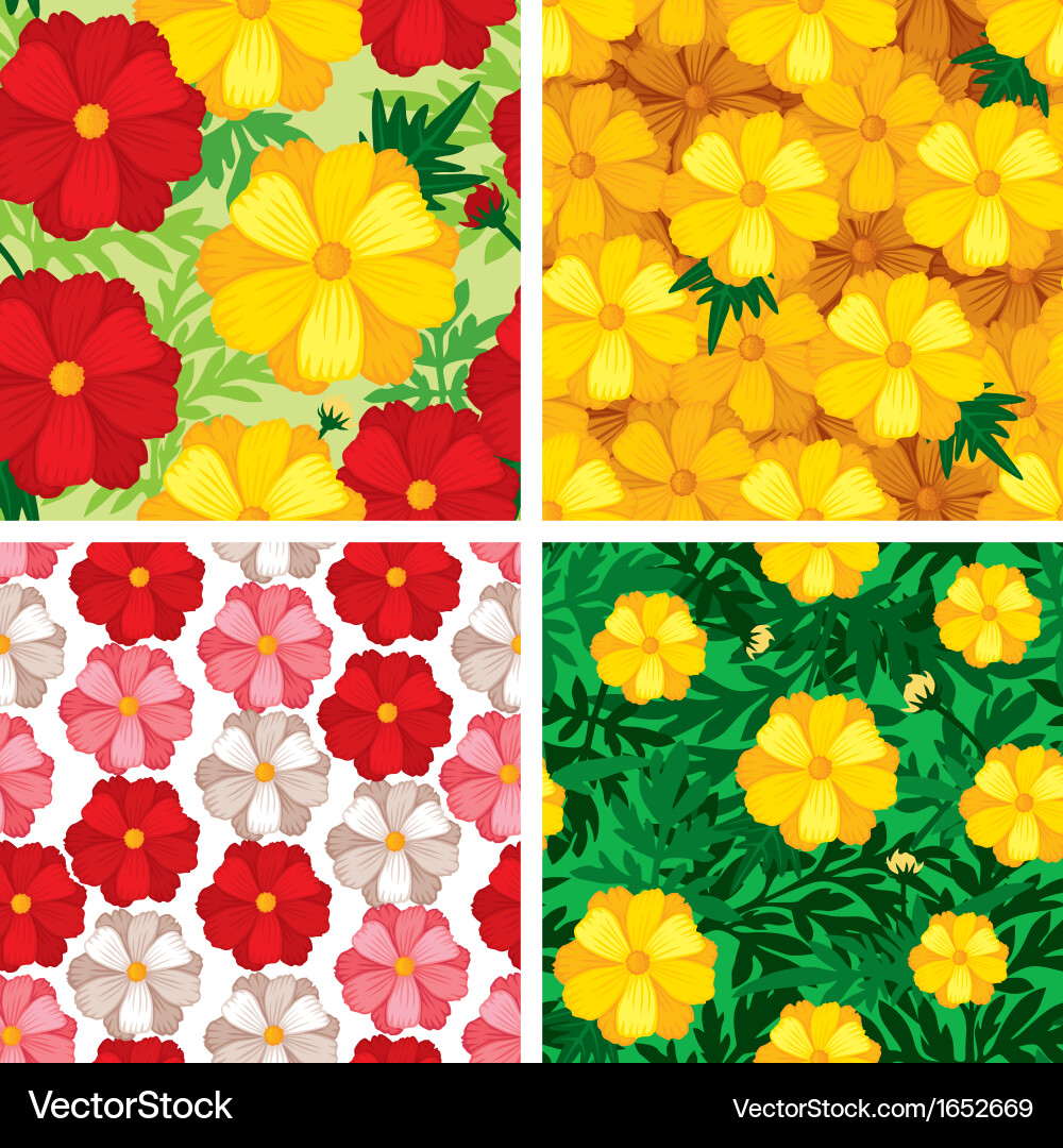 Cosmos Flower Pattern Set vector image
