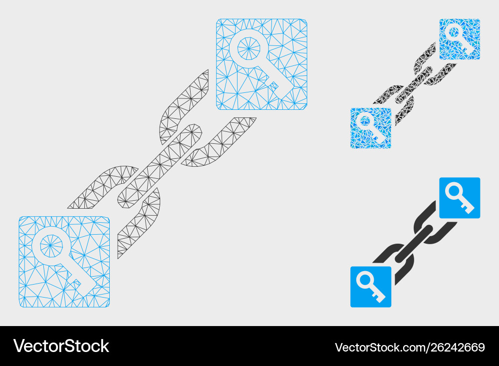 Key blockchain mesh 2d model and triangle Key blockchain mesh 2d model and triangle vector image