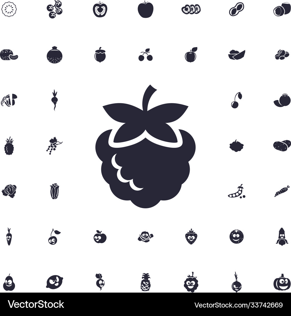 Raspberry icon vector image