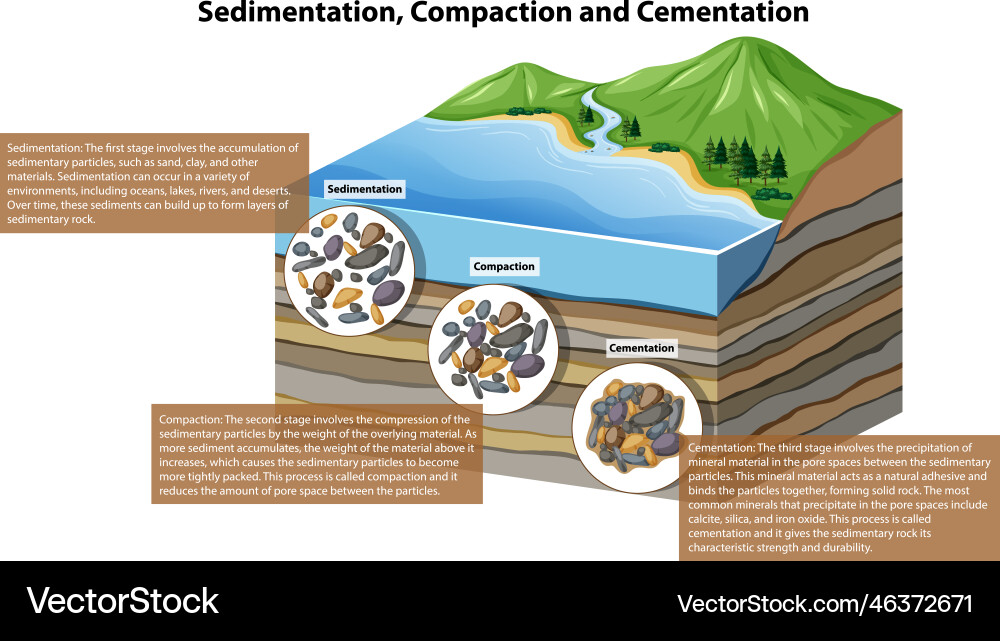 Sedimentation compaction and cementation Vector Image