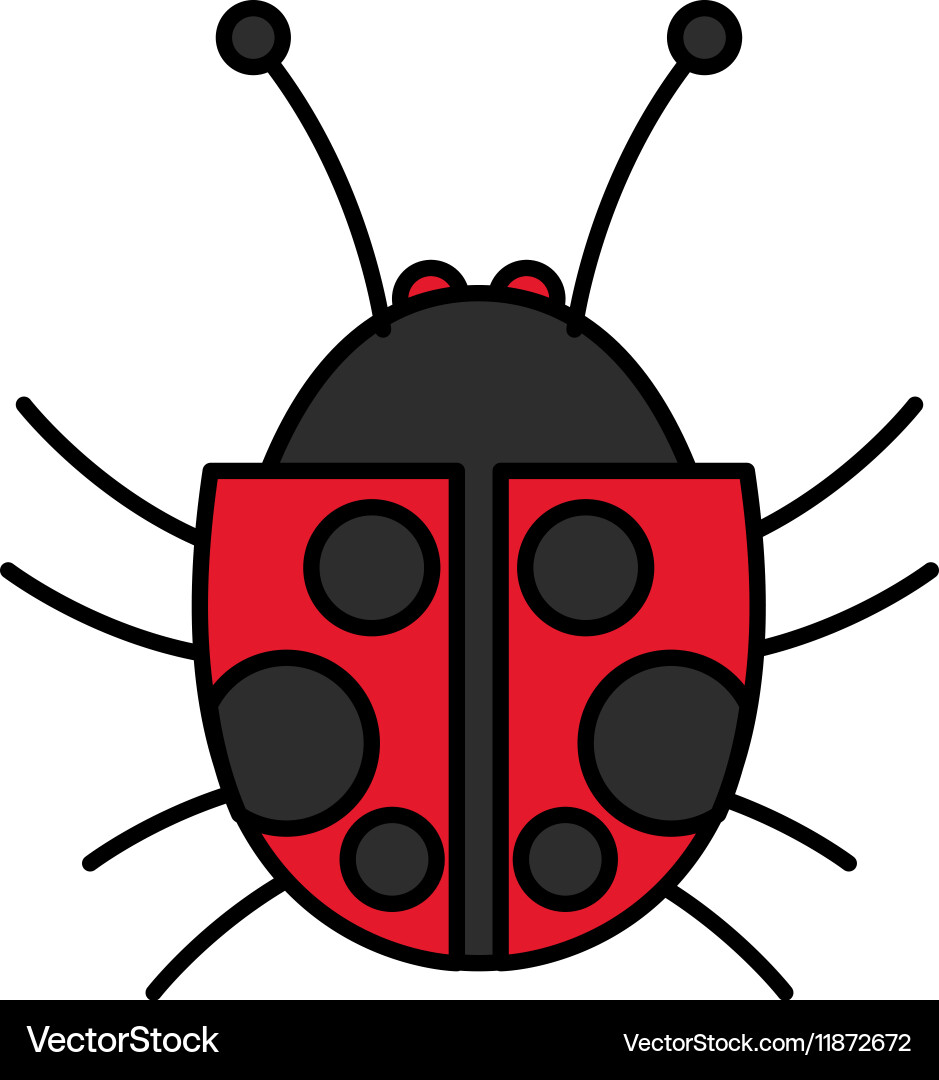 Isolated bug design vector image