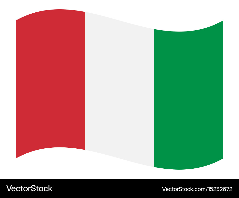 Italy flag vector image