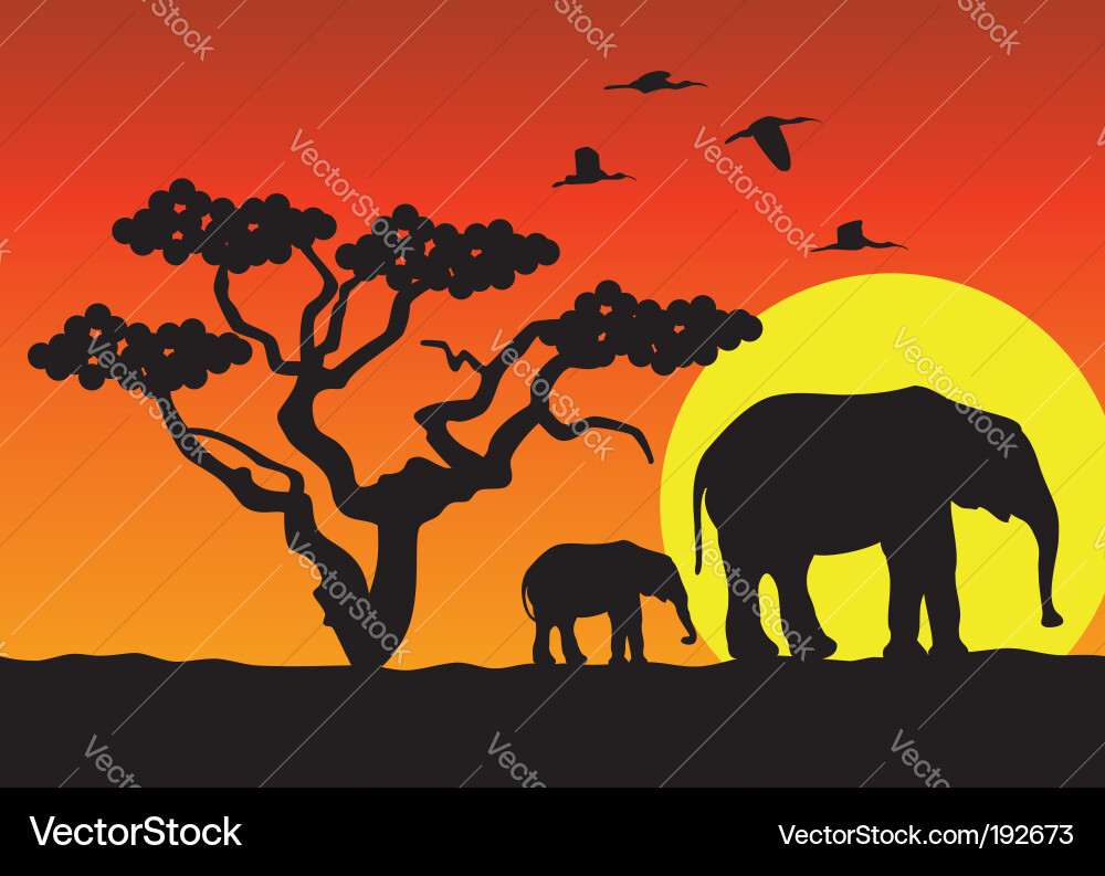 African Elephants Silhouette vector image