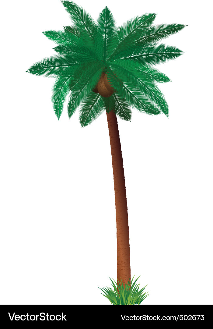 Palmenbaum vektorbild