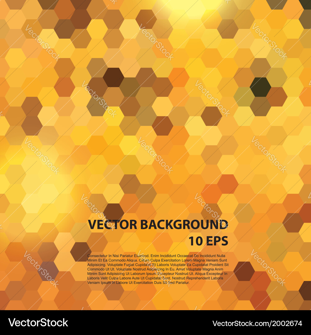 Colorful Geometric Pattern Background Vector Image