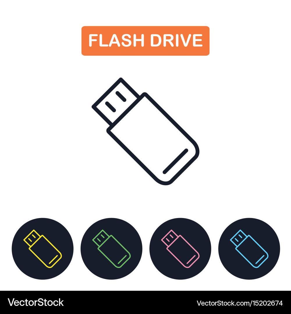 Flash drive icon simple thin line image vector image