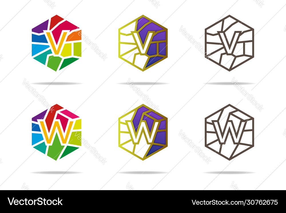 Creative design letter v and w Creative design letter v and w vector image