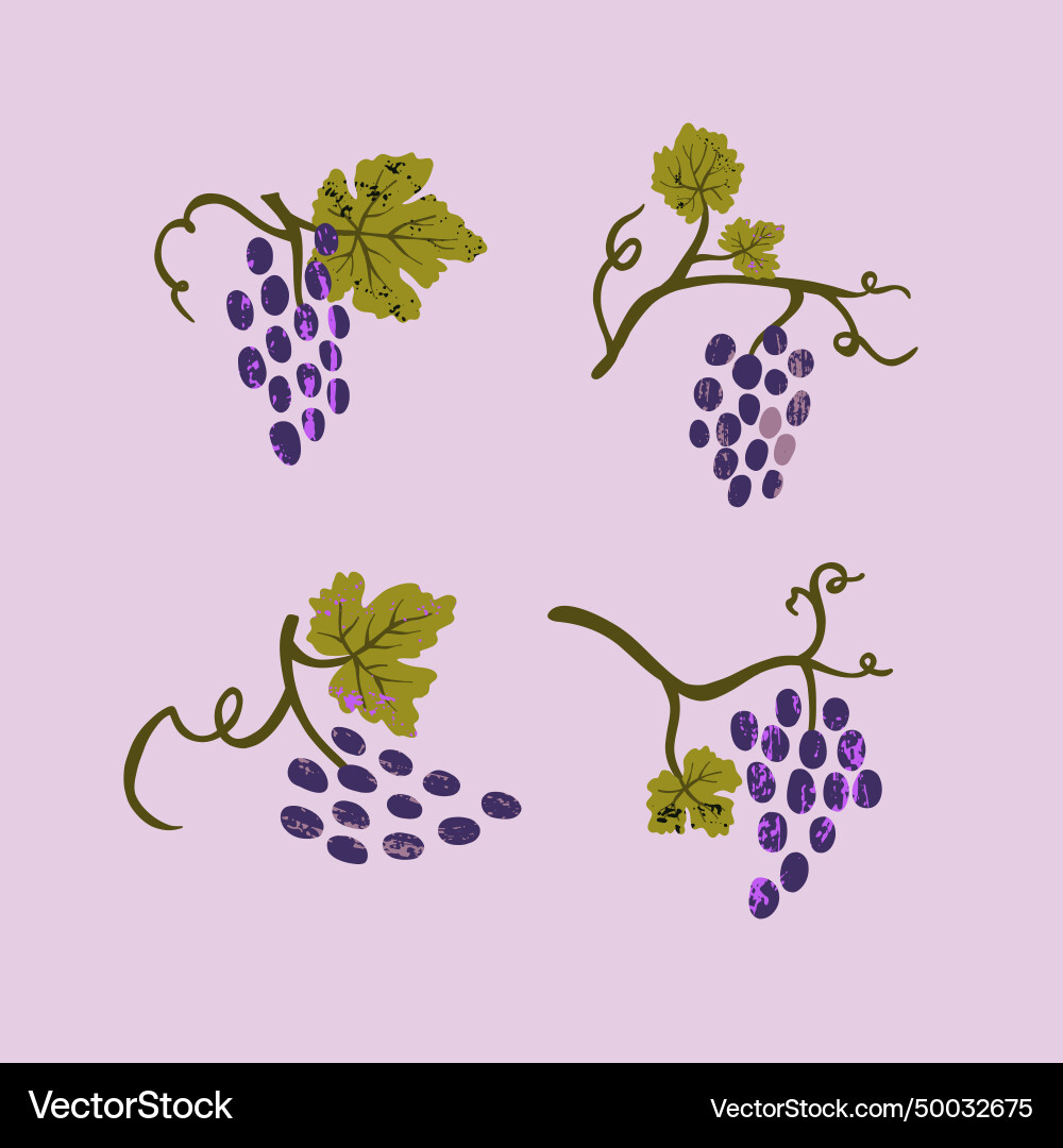 Set of grape branches isolated on a white Set of grape branches isolated on a white vector image