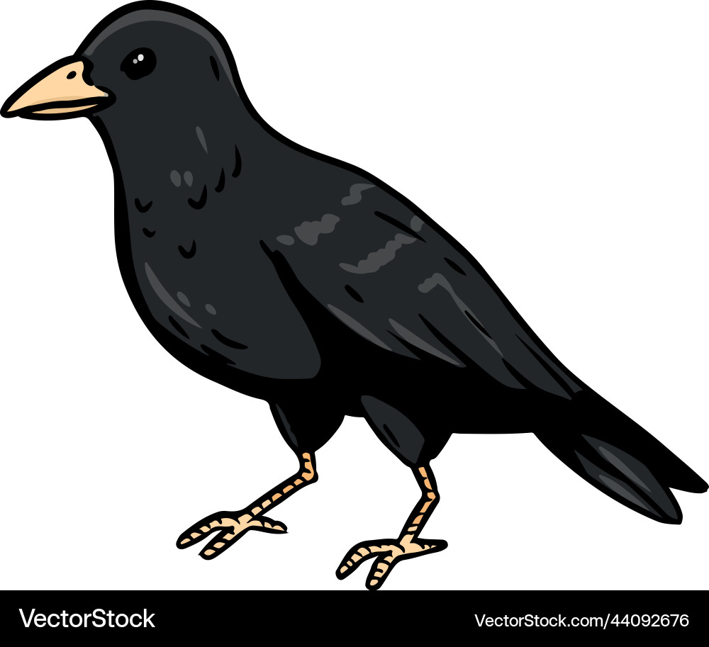 Crow or raven cartoon icon wild bird outline Crow or raven cartoon icon wild bird outline vector image