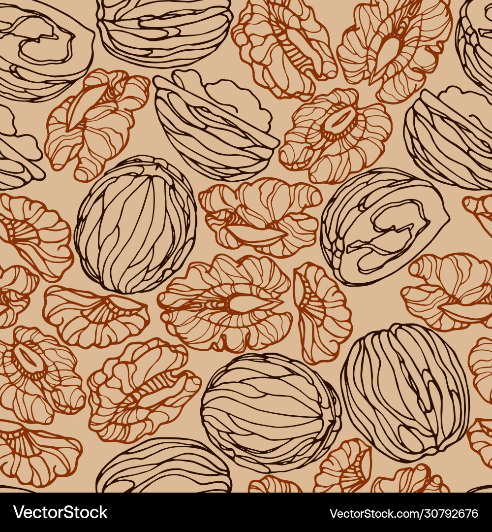 Seamless pattern a set walnuts kernels Seamless pattern a set walnuts kernels Vector Image