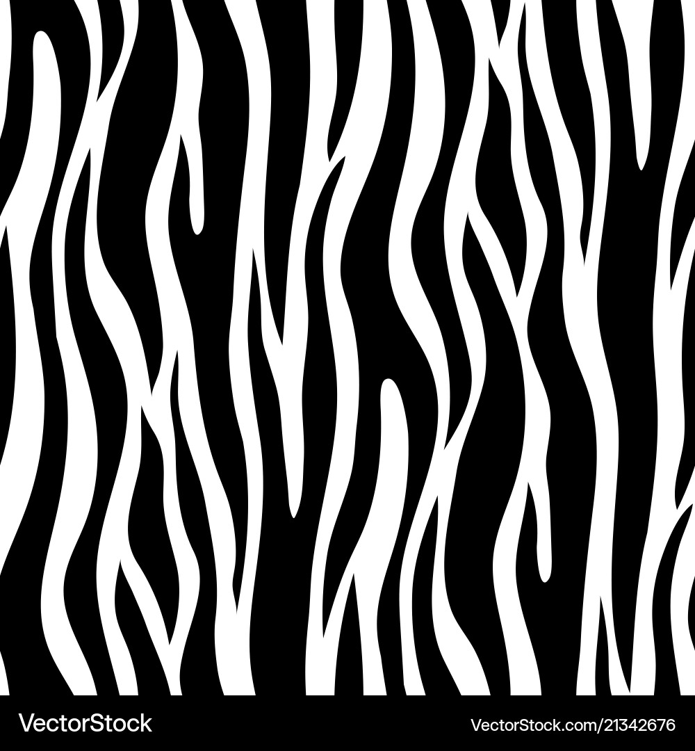 Zebra Stripes Pattern vector image