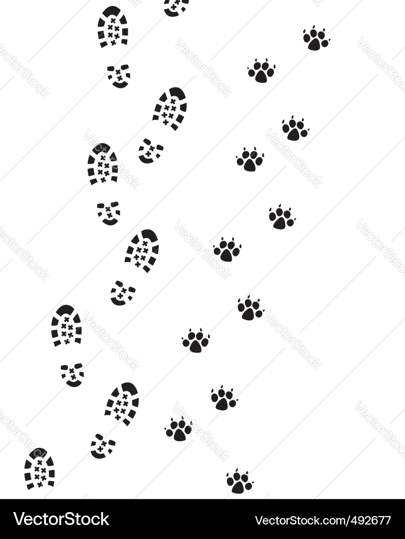 Footprints - Man and Dog vector image