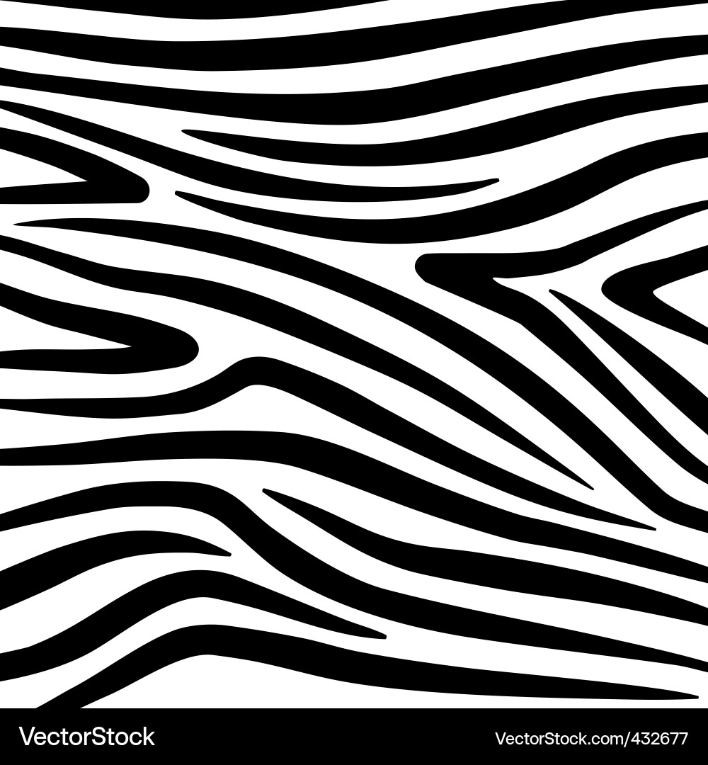 Zebra Stripe Pattern vector image