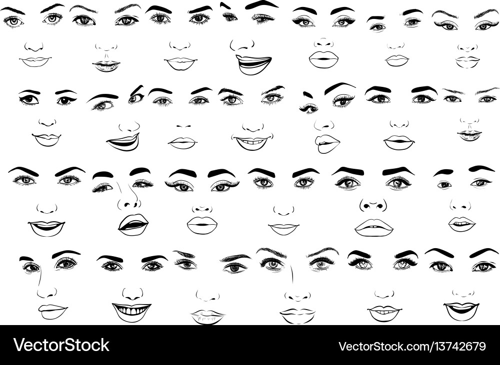 Elegant Woman Portrait Set Vector Image