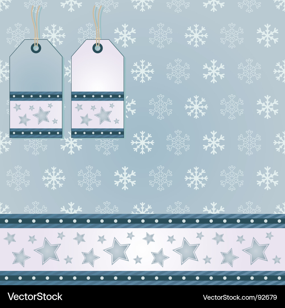 Snowflake Winter Pattern Vector Image