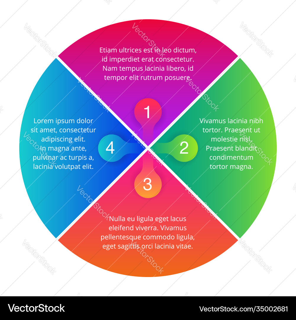 Infographics with four steps in segment form vector image