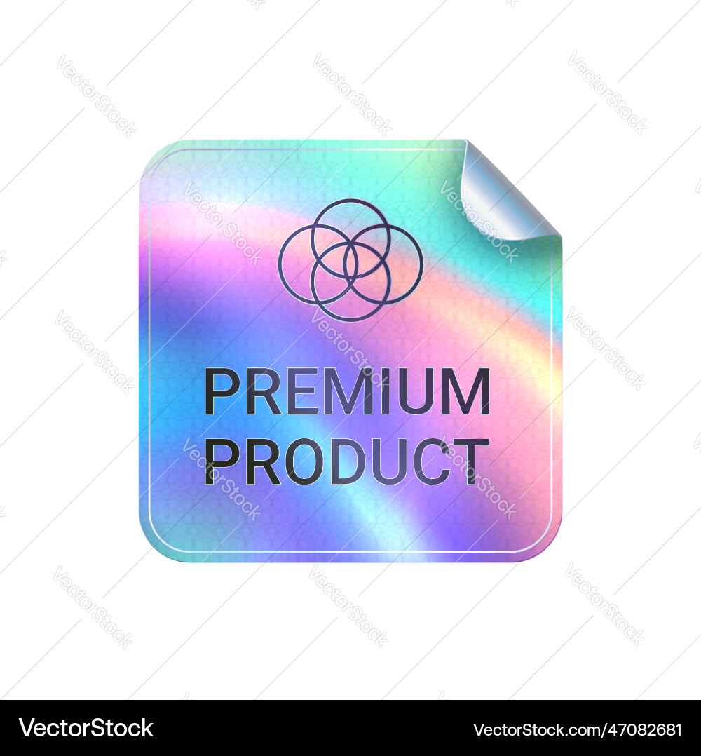 Premium Produktqualität Hologramm quadratische Aufkleber Premium Produktqualität Hologramm quadratische Aufkleber vektorbild