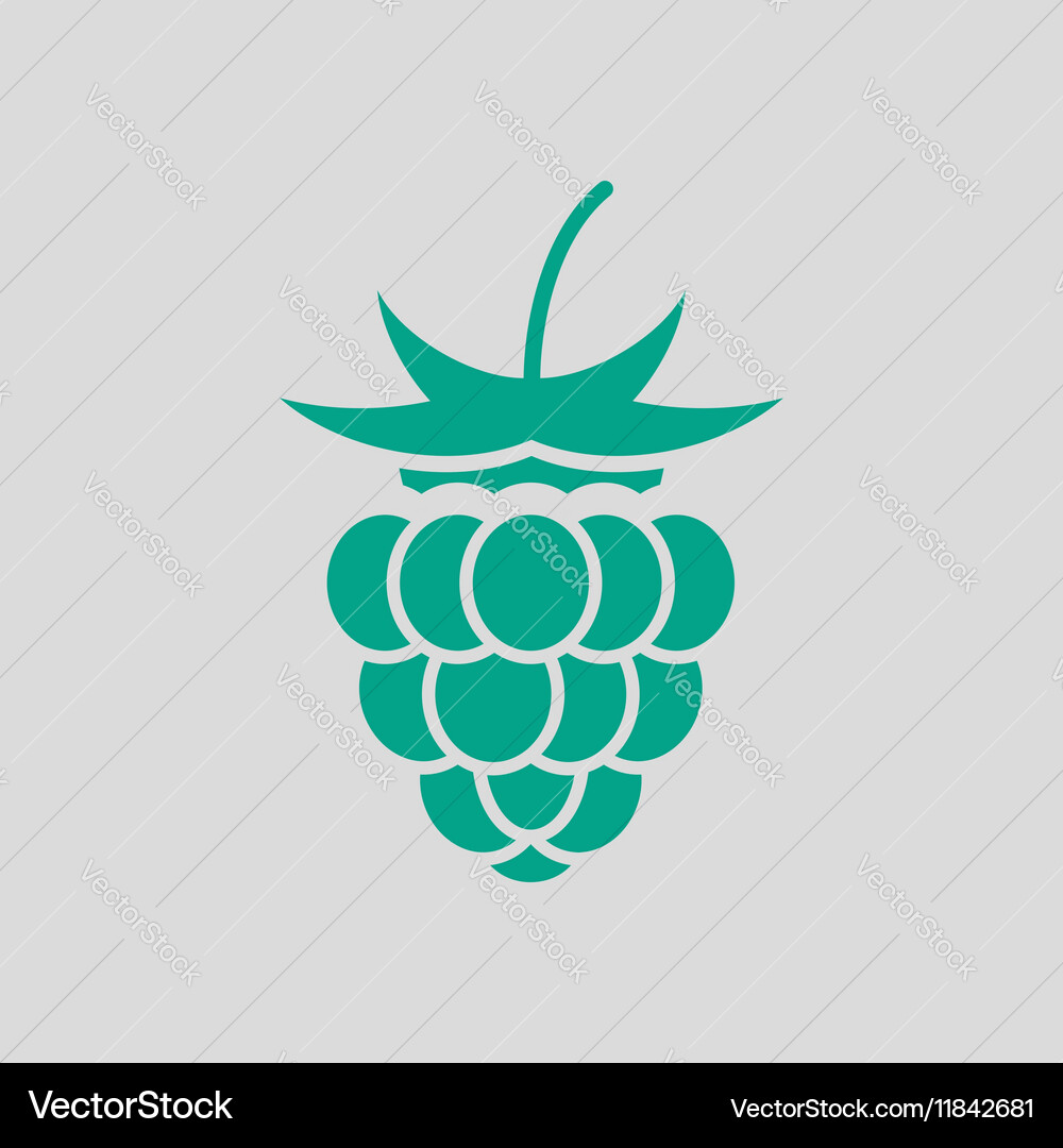 Raspberry icon vector image