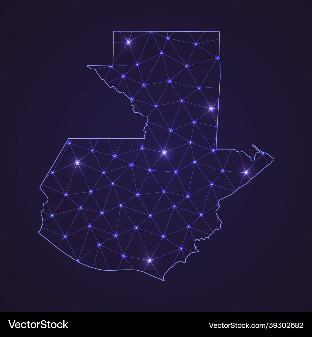 Abstract Network Map with Glowing Lines vector image