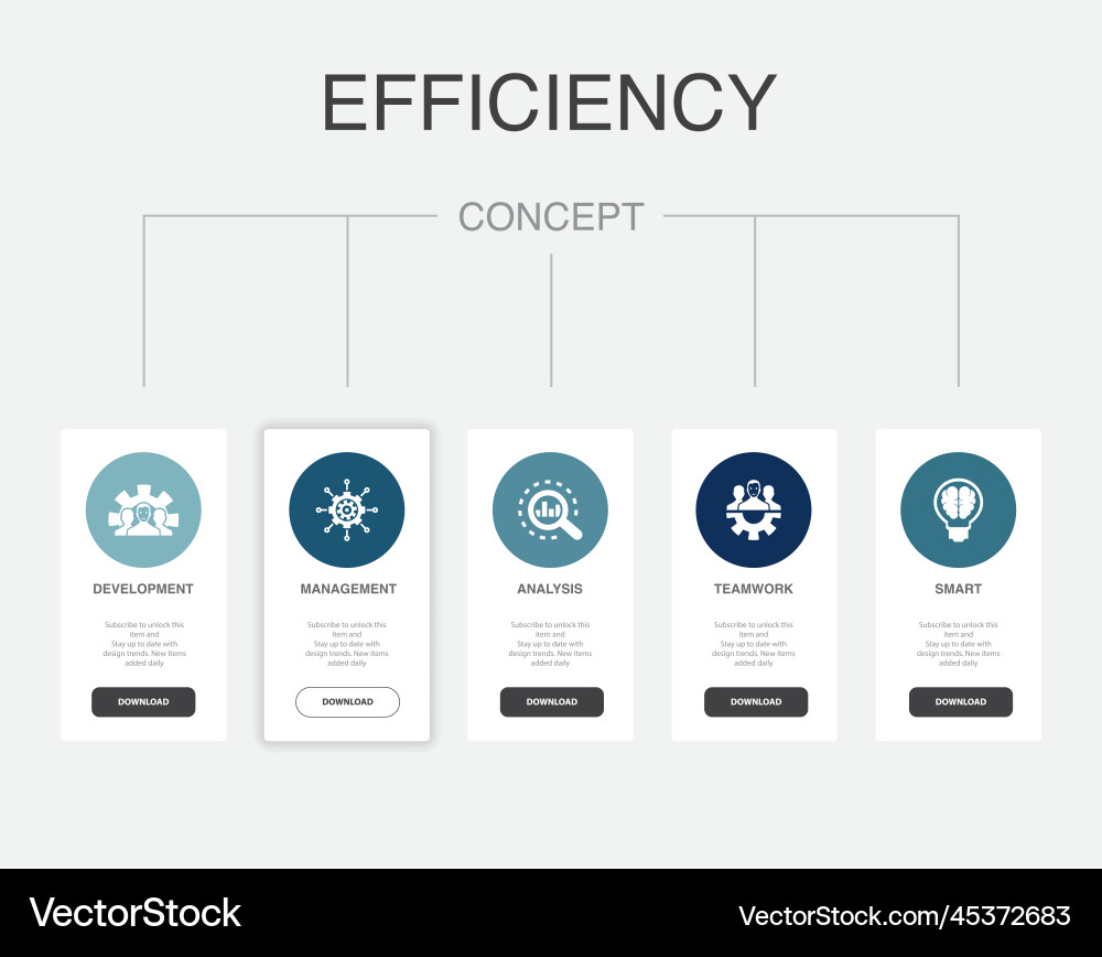 Development management analysis teamwork smart vector image