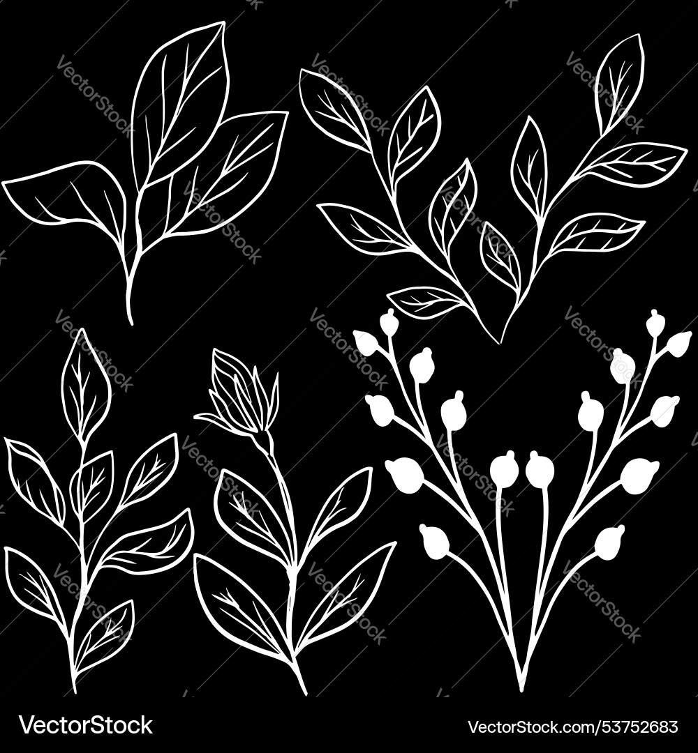 Floral pattern with arrows for use in web design Vector Image