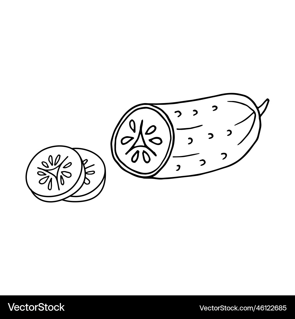 Cucumber in doodle style Cucumber in doodle style vector image