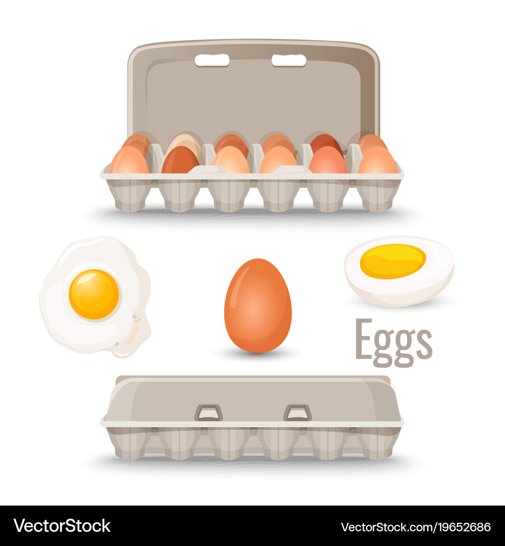 Eggs in shell inside cardboard container vector image