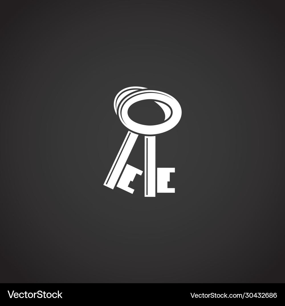 Key icon on background for graphic and web design Key icon on background for graphic and web design vector image