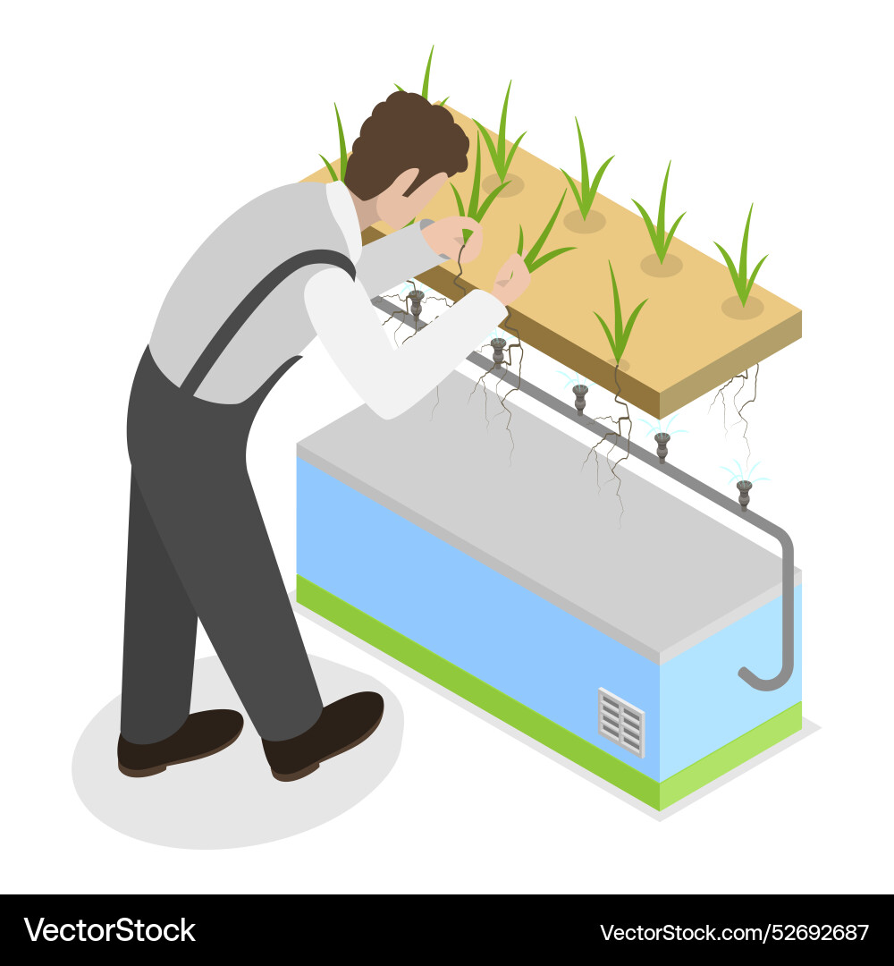 3d isometric flat Royalty Free Vector Image - VectorStock