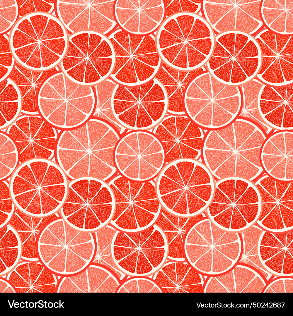 Citrus Slice Pattern vector image