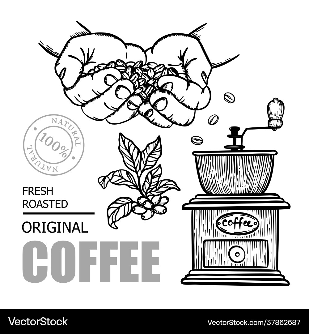 Coffee grinder store design elements vector image