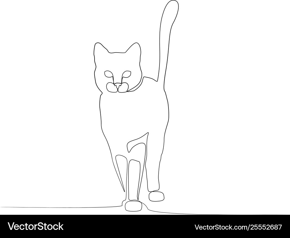 Continuous one line front view cat vector image