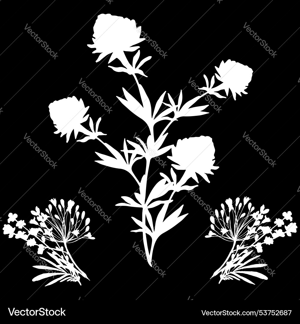 Floral pattern with arrows for use in web design Vector Image