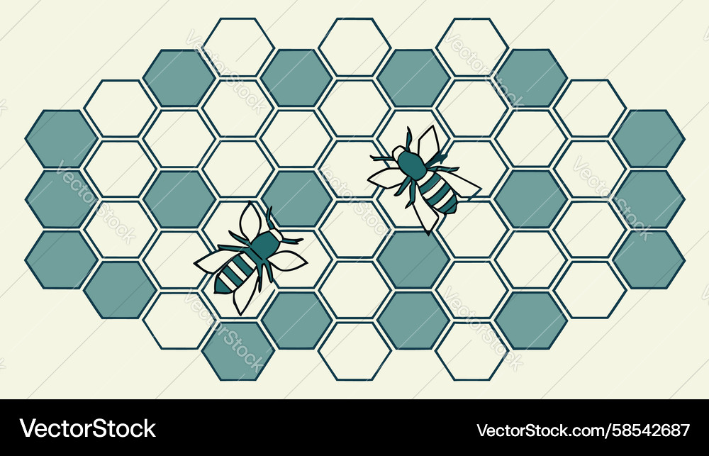 Two Bees on Hexagonal Pattern Vector Image