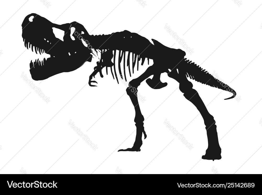 Tyrannosaurus rex skeleton silhouette on isolated vector image