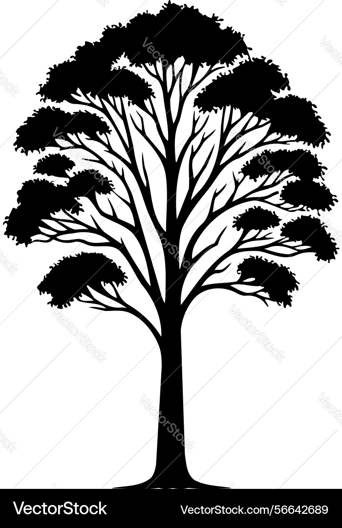 X-default minimal ash tree Vector Image