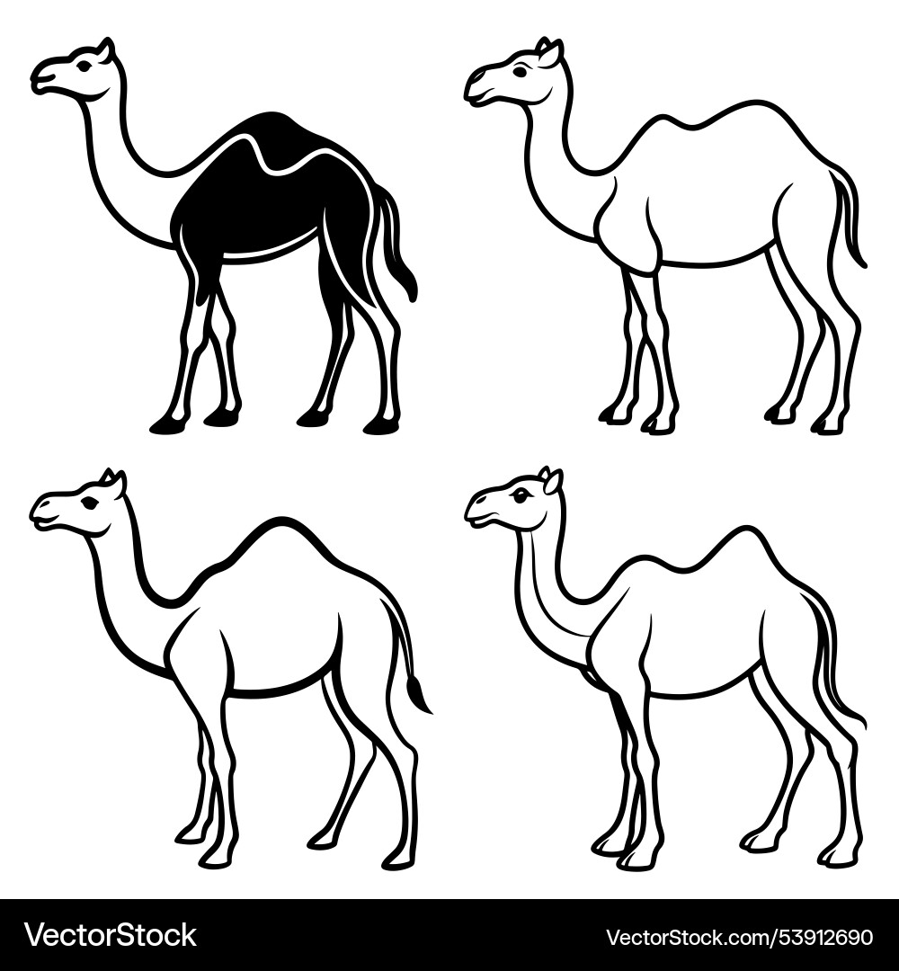 3d rendering of dynamic camel silhouette line art Vector Image