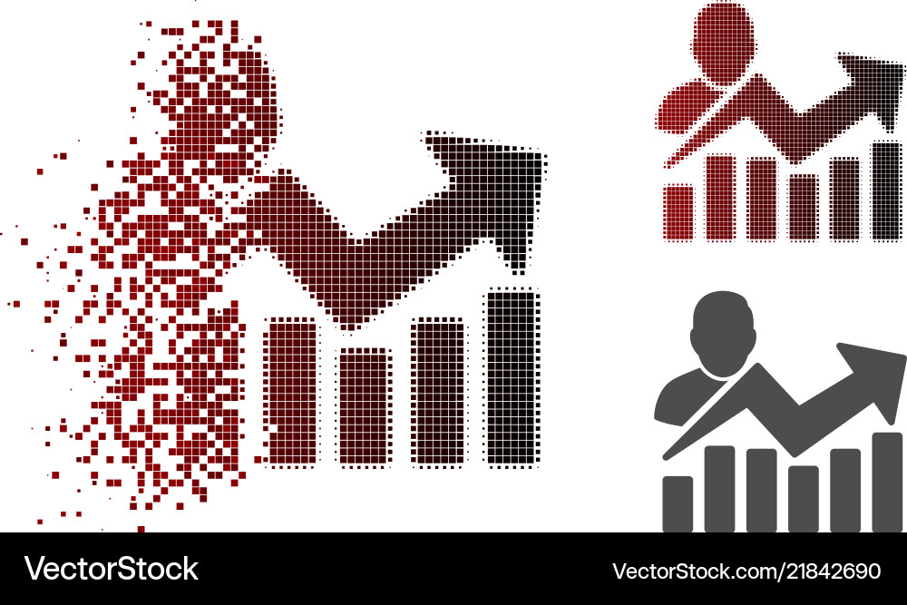 Fragmented User Chart Icon vector image