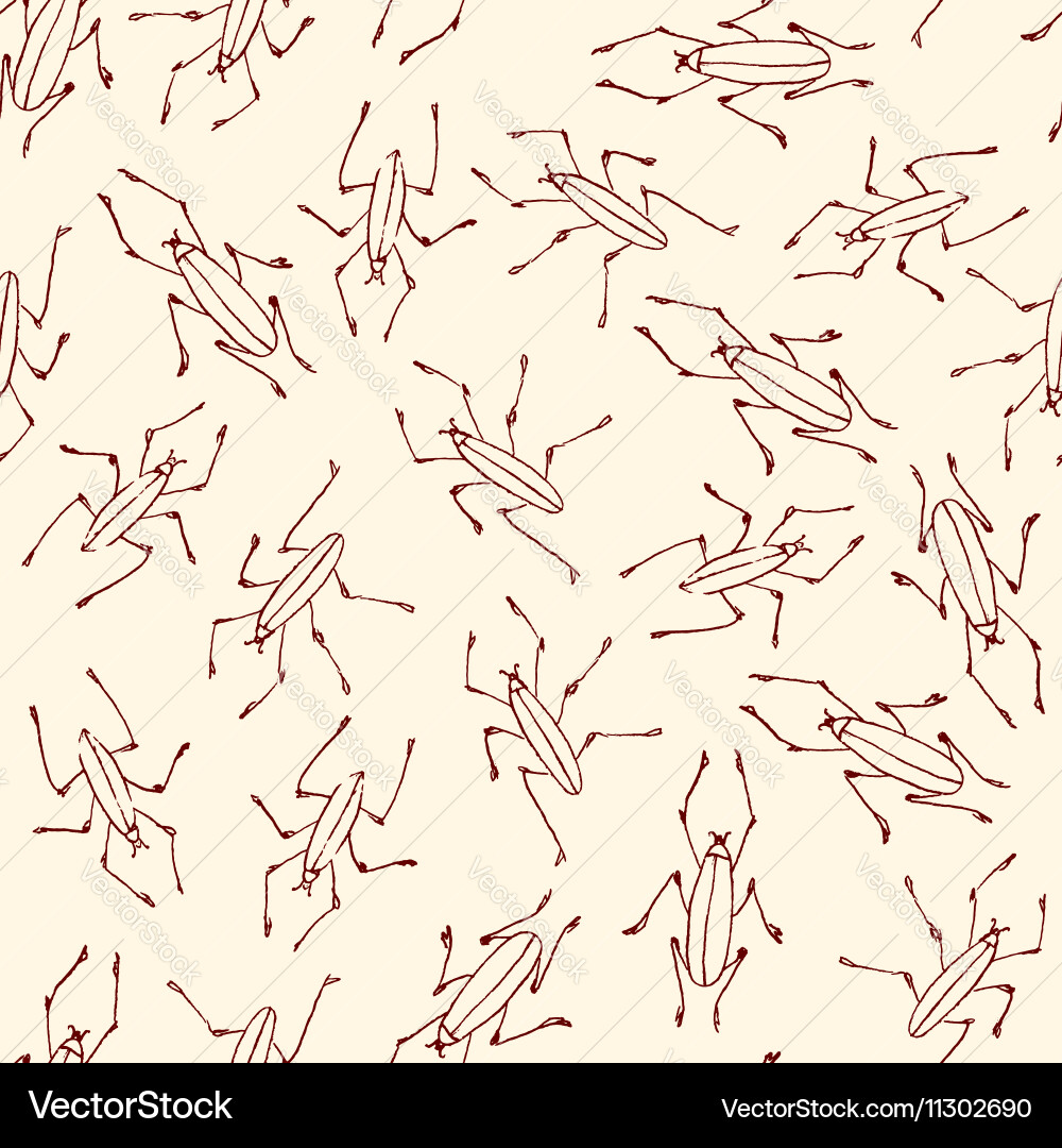 Linear Beetle Pattern vector image