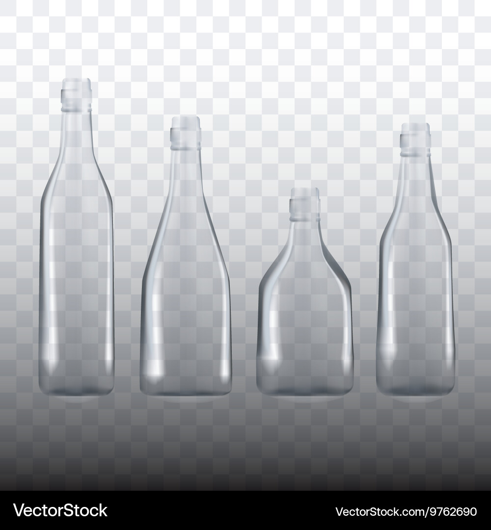 Set of transparent empty bottles vector image