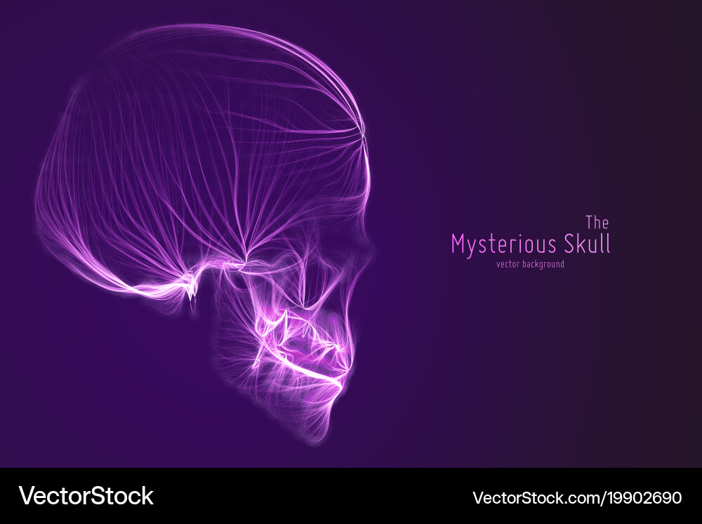 Skull constructed with violet lines vector image