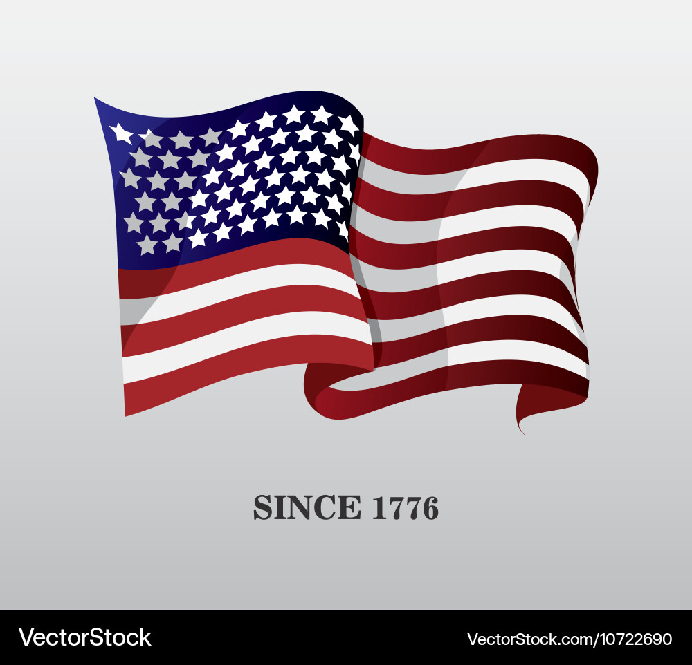 United States Flag Vector Image