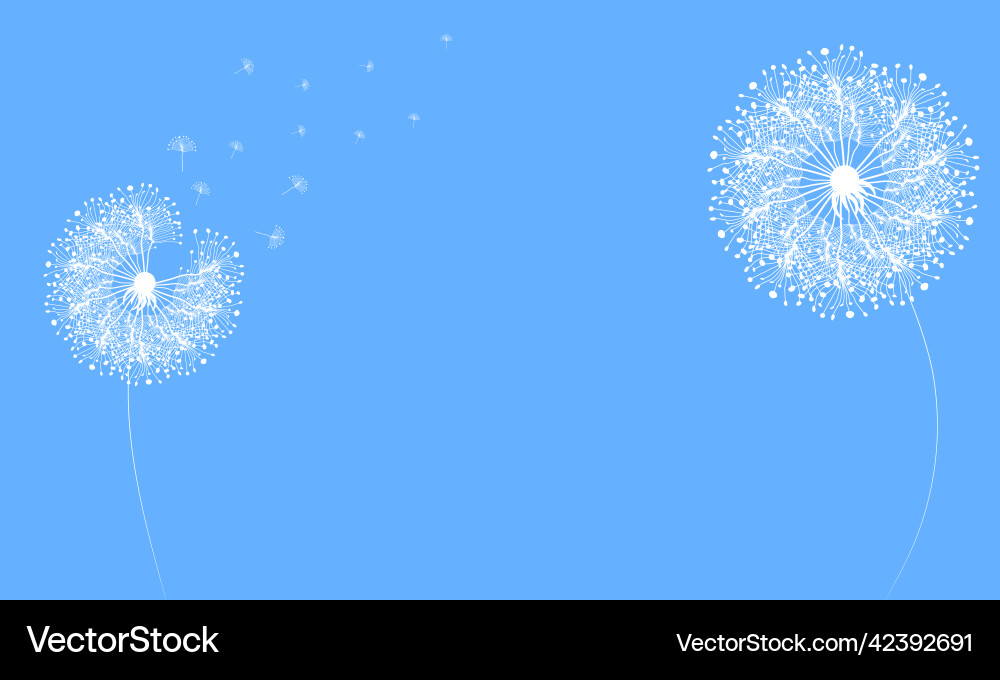 Dandelion abstract template for background Dandelion abstract template for background Vector Image