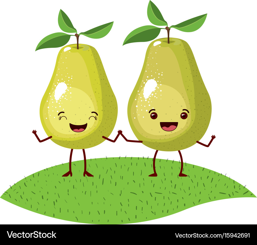 White background with realistic pair of pear Vector Image