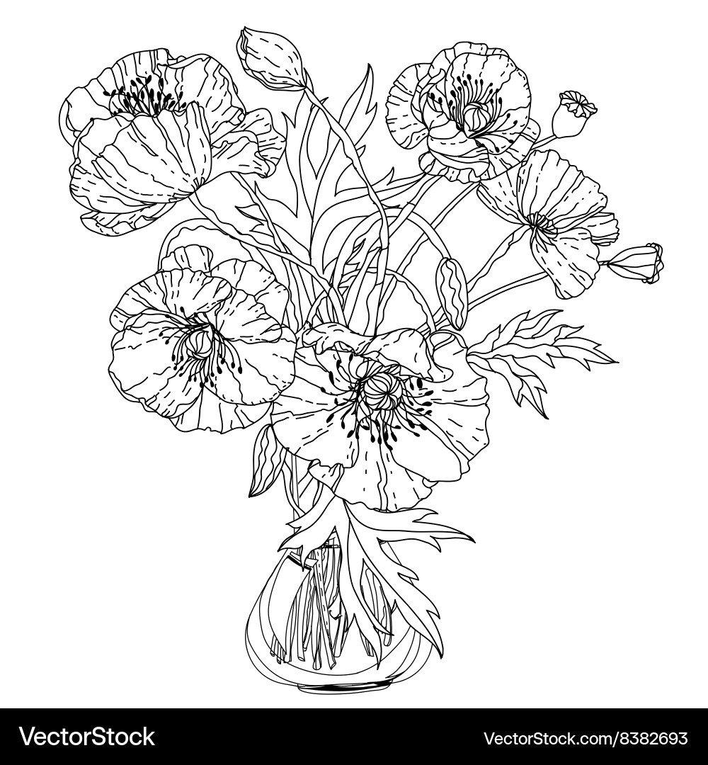 Field poppies spring pattern vector image