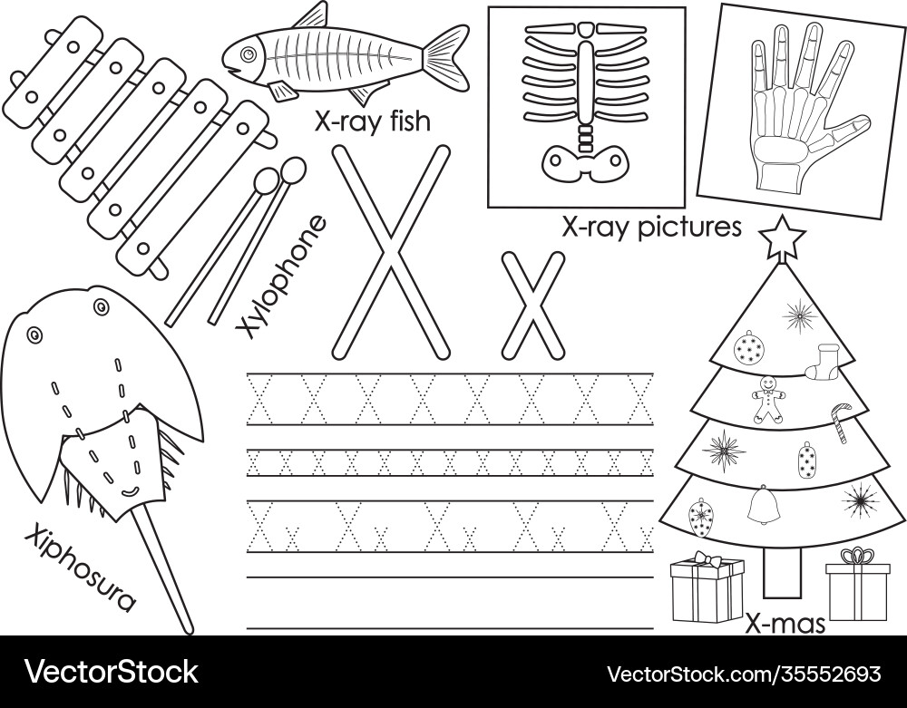 Letter x education for children learning english Letter x education for children learning english vector image