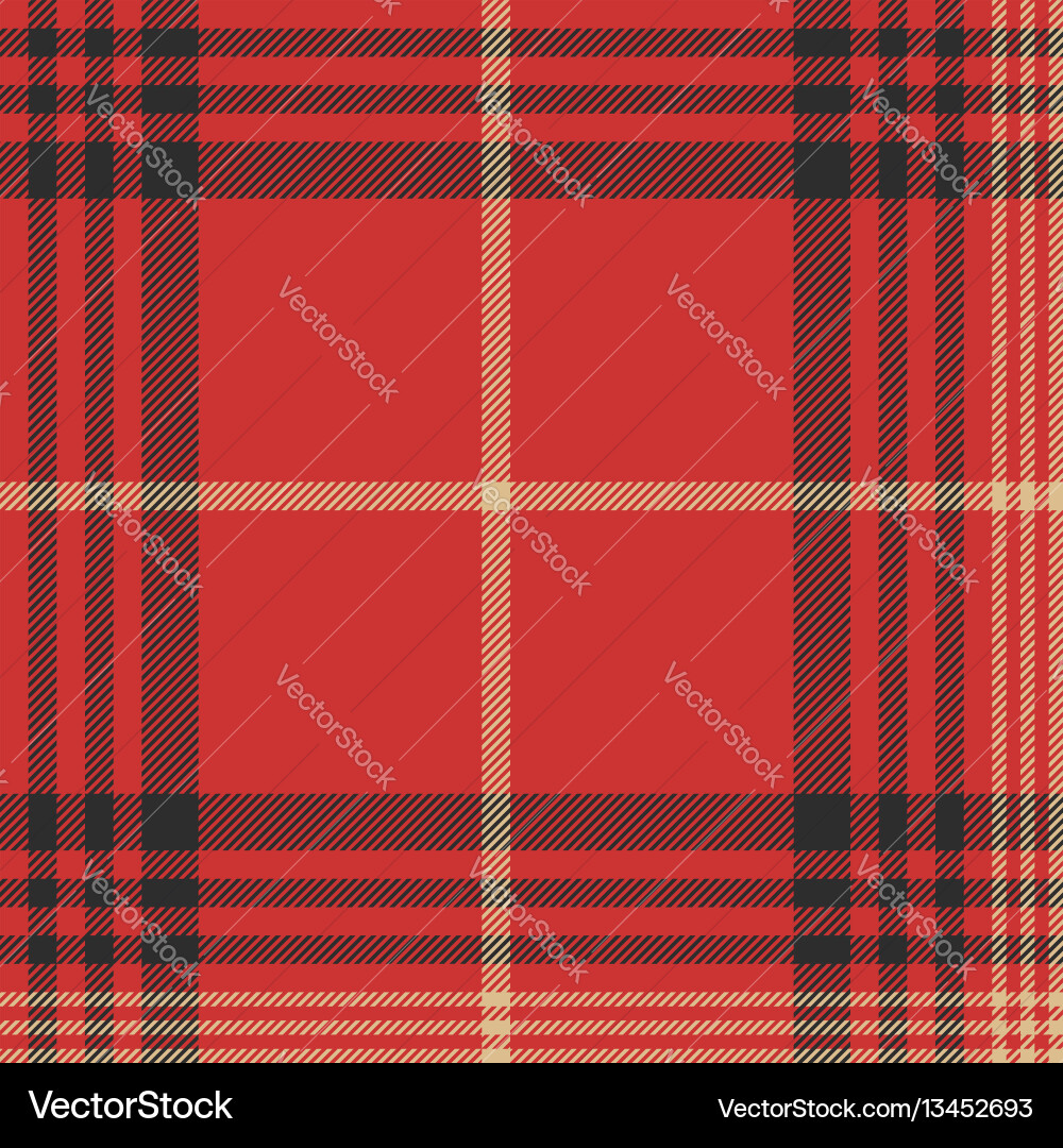 Red Tartan Check Pattern vector image