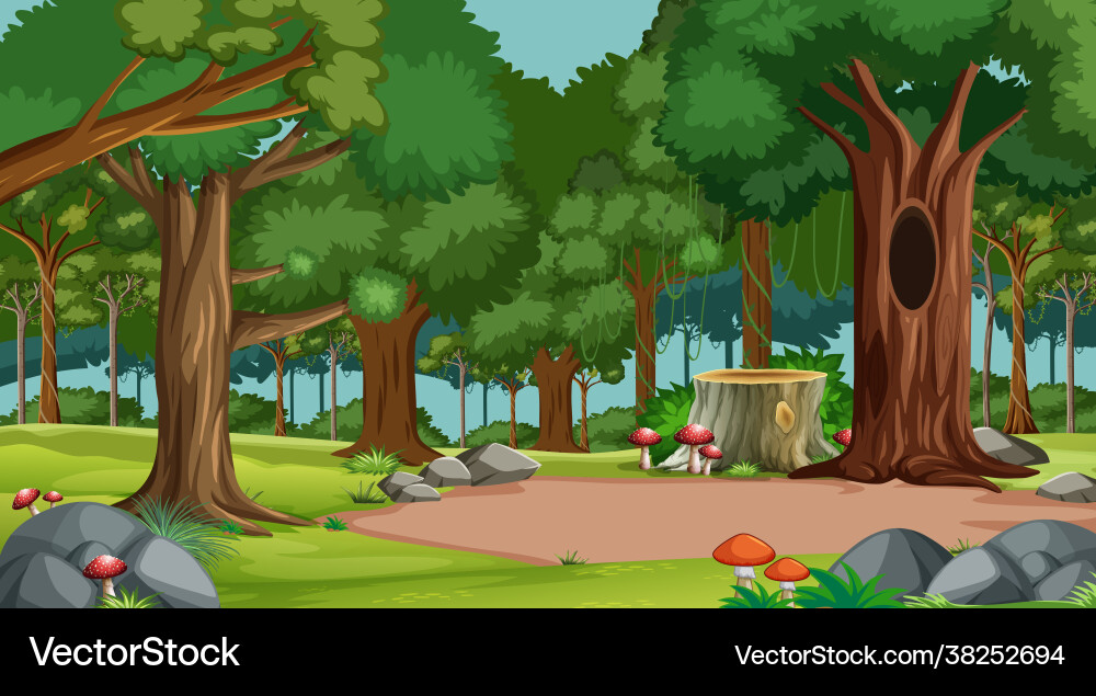 Forest scene with various trees Forest scene with various trees vector image