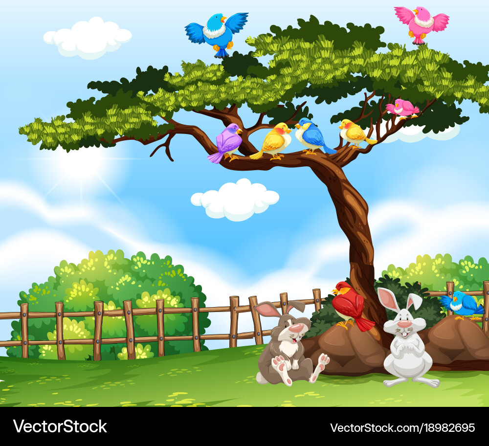 Background scene with birds on the tree Vector Image