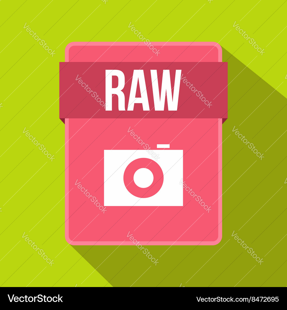 Raw file icon flat style Vector Image